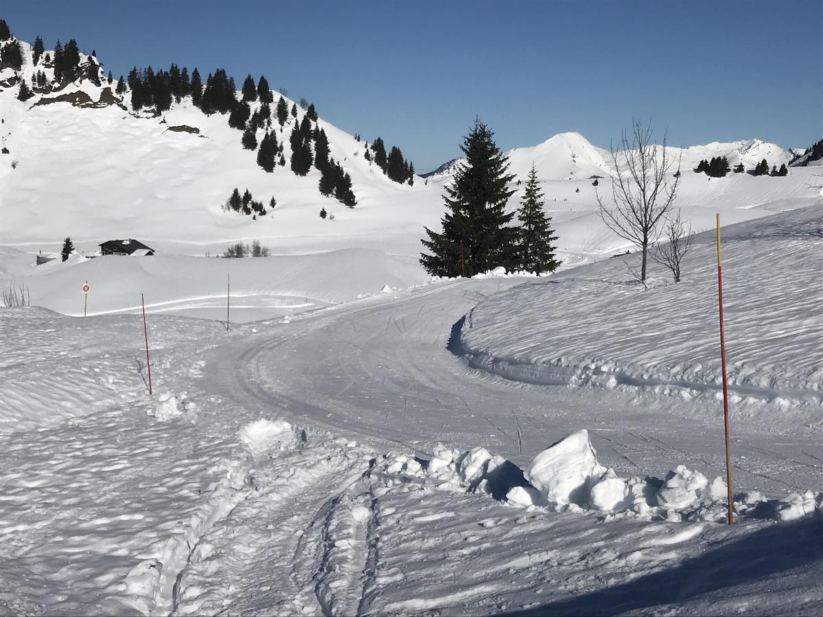 Residence Les Chardons Argentes Samoëns Exteriér fotografie
